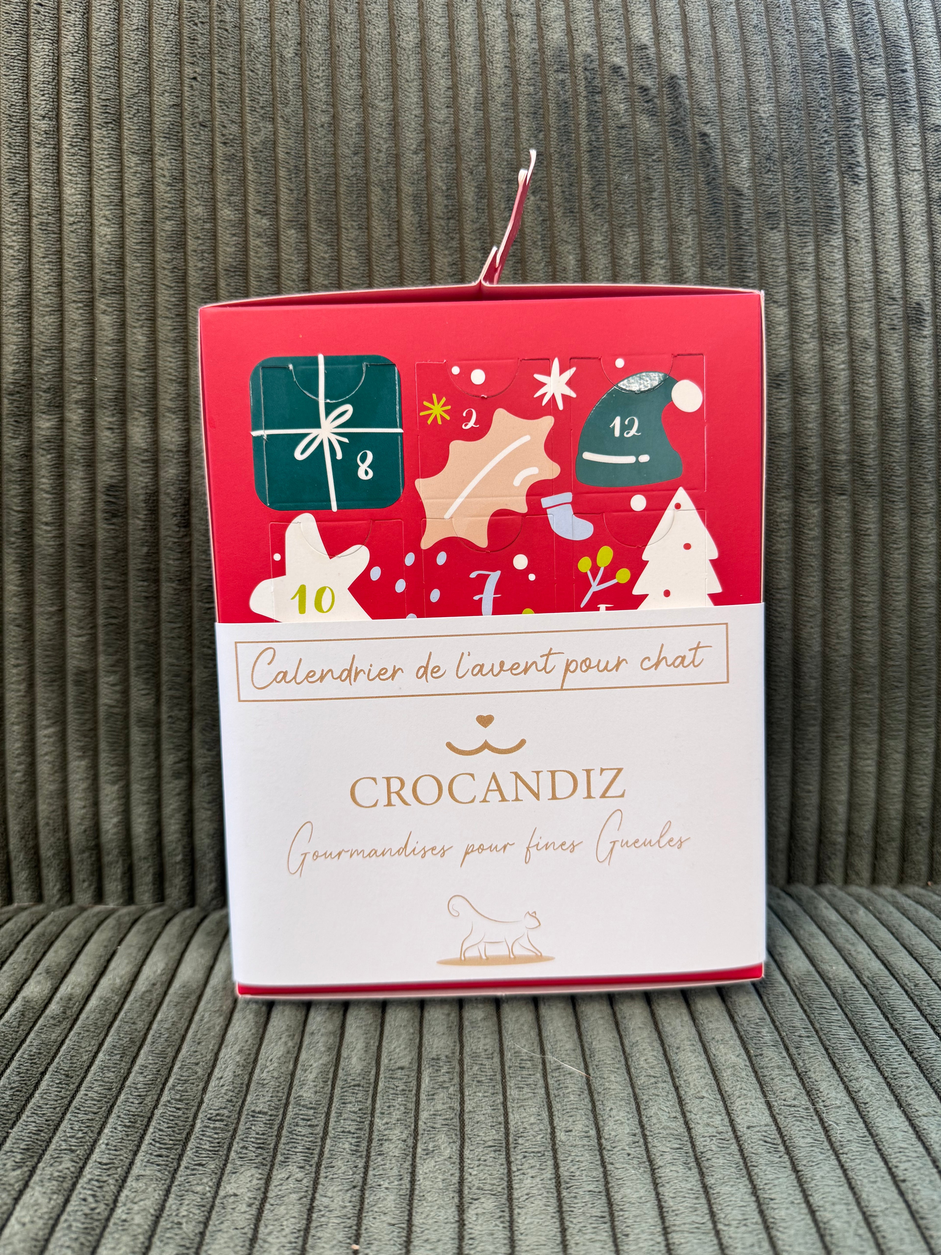 CALENDRIER DE L'AVENT CHAT