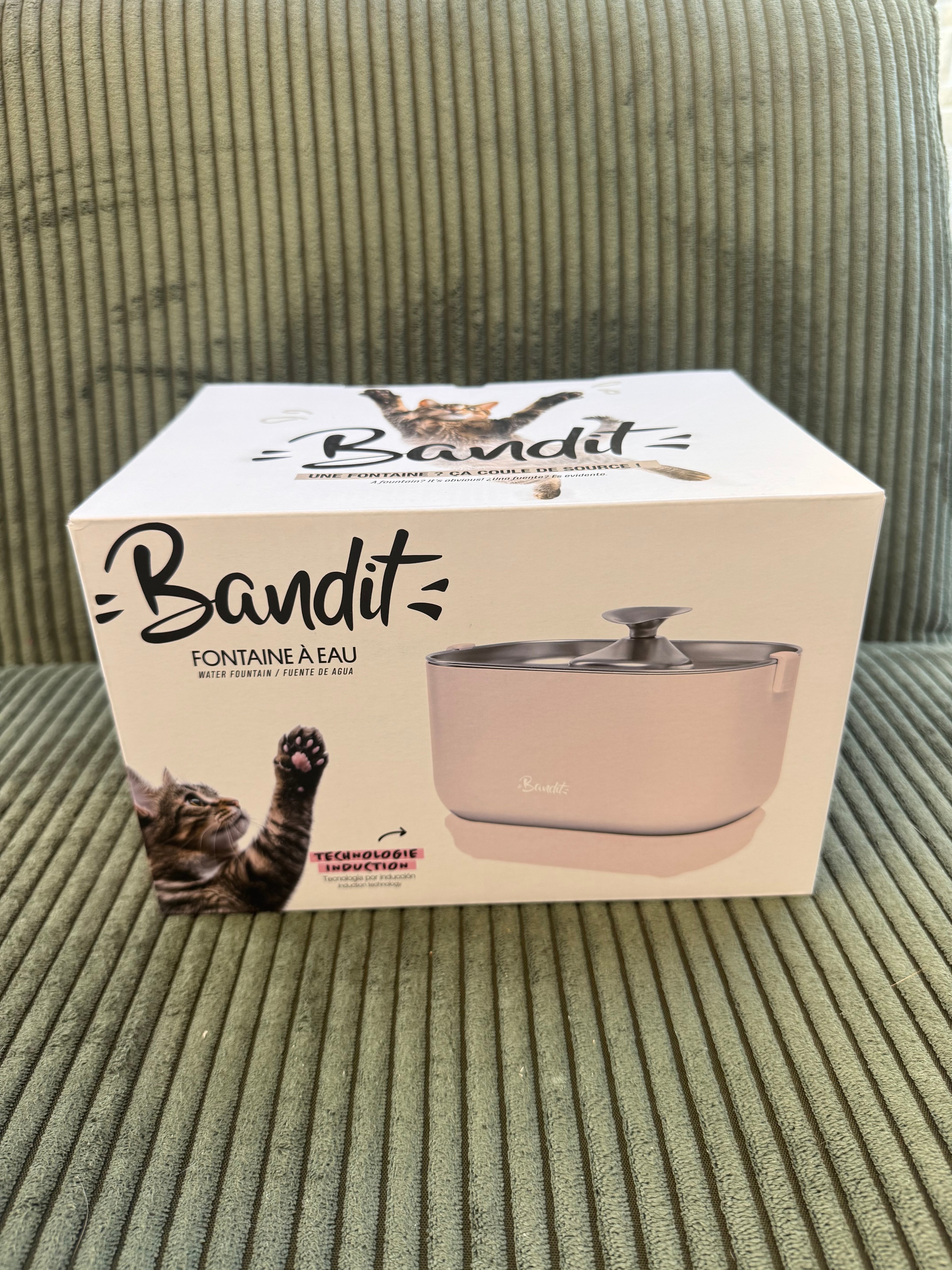 FONTAINE FILAIRE BANDIT PARIS