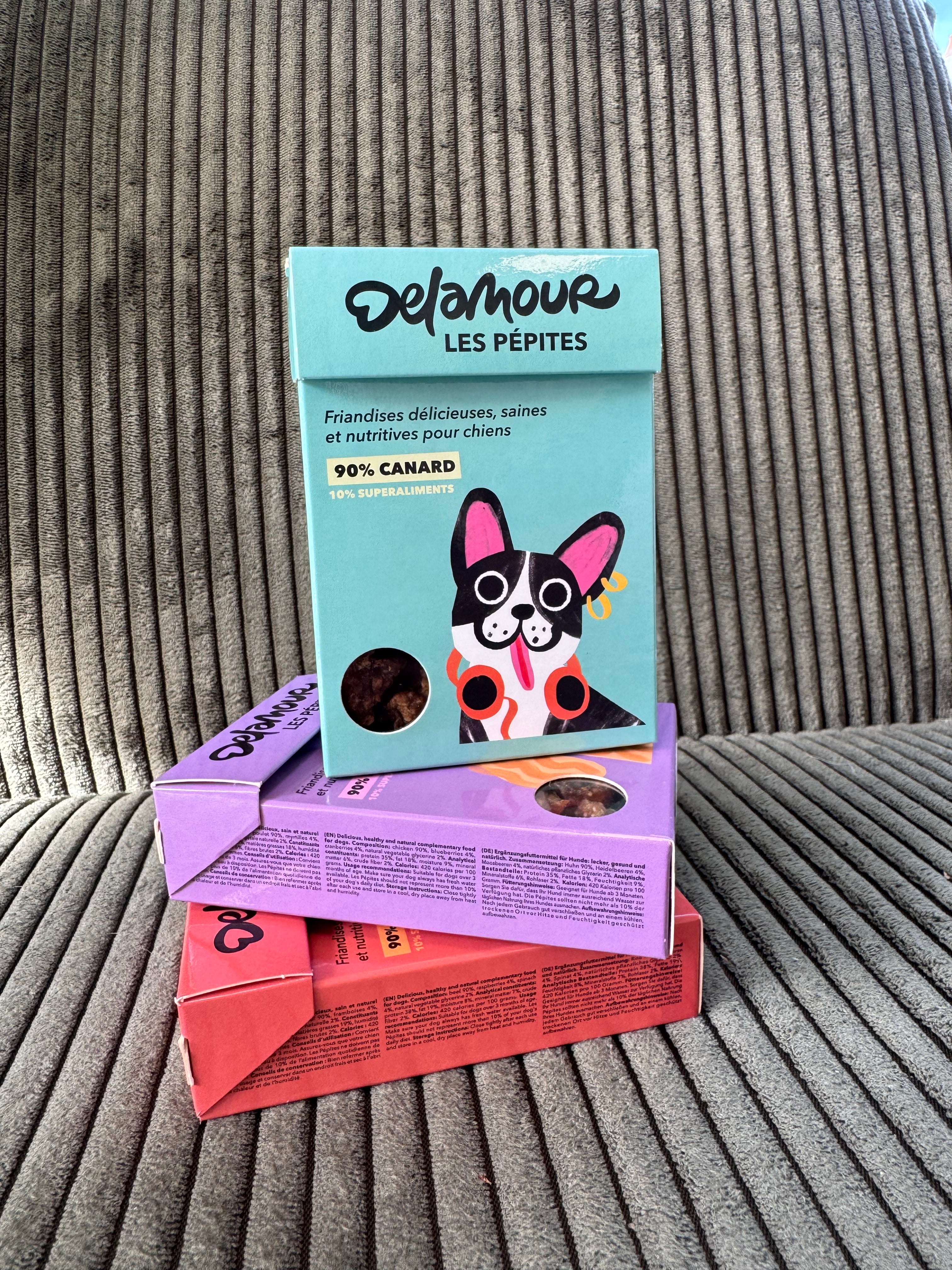 LES PEPITES CANARD DELAMOUR